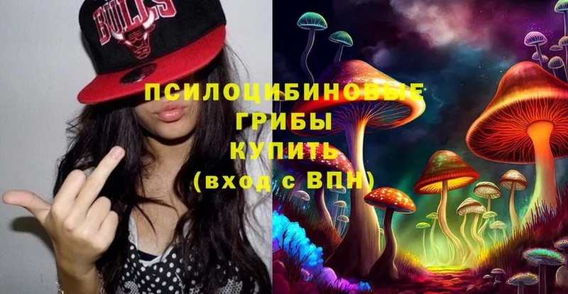 Псилоцибиновые грибы Magic Shrooms  Лениногорск 